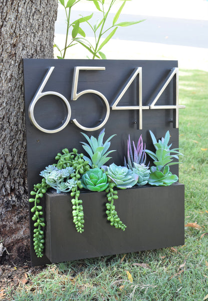 Succulent Arrangement for Your Address Planter!