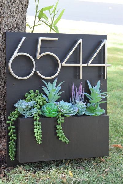 Succulent Arrangement for Your Address Planter!