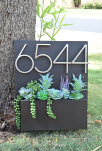Succulent Arrangement for Your Address Planter!
